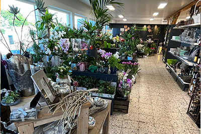 Baumarkt Mansfeld Baumarkt Mansfeld