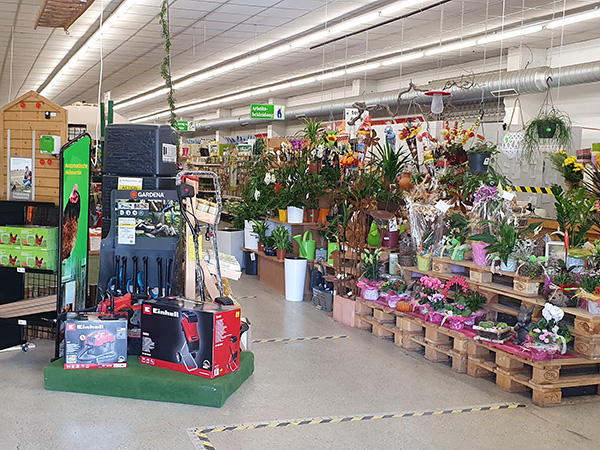 Markt muecheln Markt muecheln